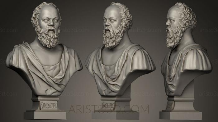 Busts and bas-reliefs of famous people (BUSTC_0568) 3D model for CNC machine